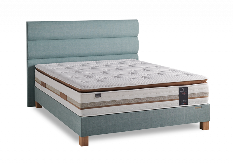 Pack André Renault Intuition - Woody