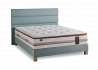 Pack André Renault Intuition - Woody