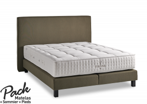 Pack Styldecor Fortuna Lux 1500