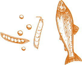 Légumineuses et poisson gras
