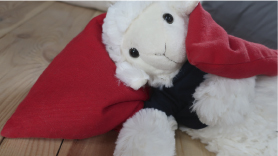 Peluche blottie dans une bouillotte sèche en noyaux de cerises