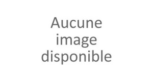 Reprise de votre ancien...