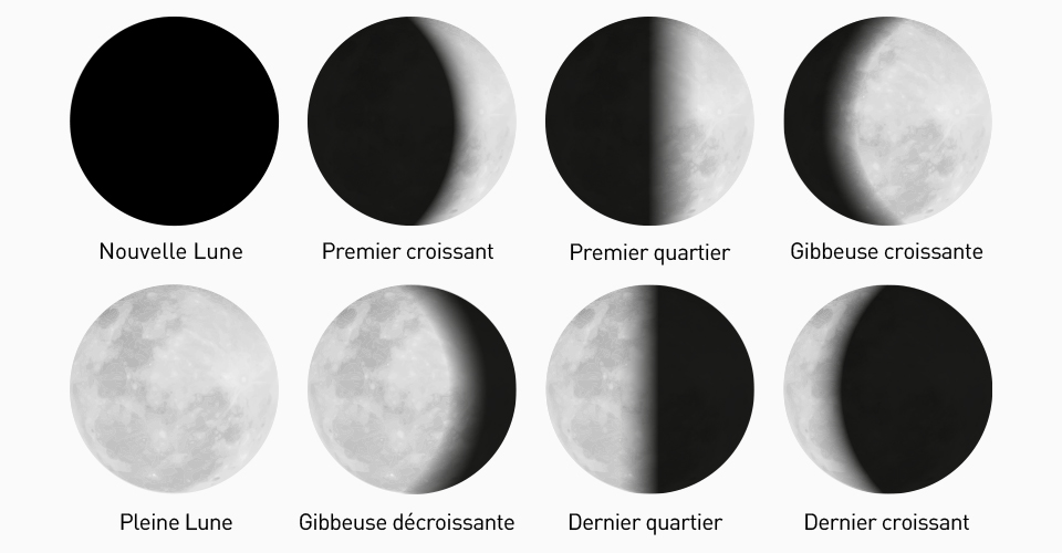 Pleine lune : quels effets sur l'Homme ?